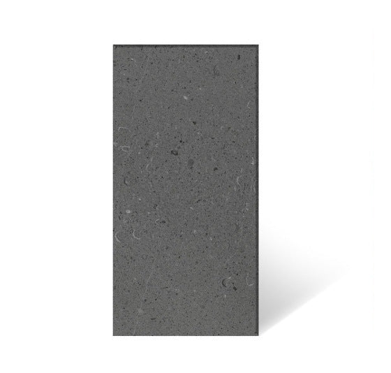 Duchamp Grey Marble Slab — slab appearance reference